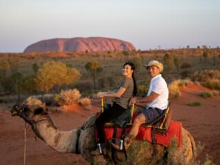 Take a Camel To Sunset Tour