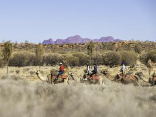 Camel Ride - Tourism NT - Helen Orr