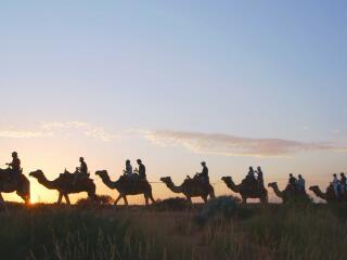 Camel to Sunrise - Tourism Australia - The Precinct