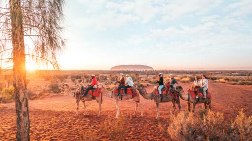 Camel to Sunrise - Tourism NT - Jessie Lindemann