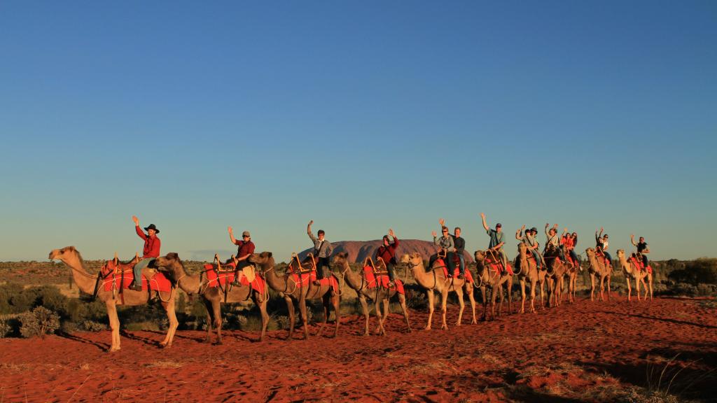 Sunrise Camel Tour