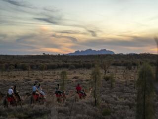 Camel Tour - Tourism NT - Rhett Hammerton