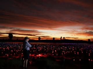 Field of Light