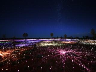 Field of Light