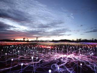 Field of Light