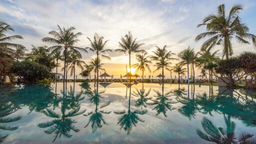 Infinity Pool