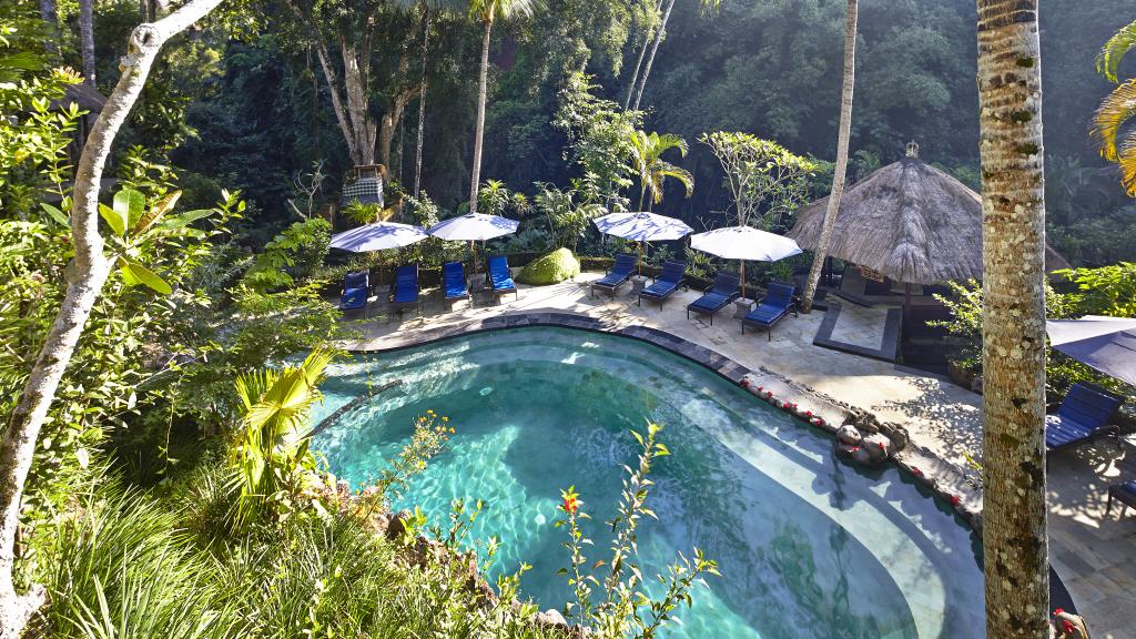 Swiming Pool