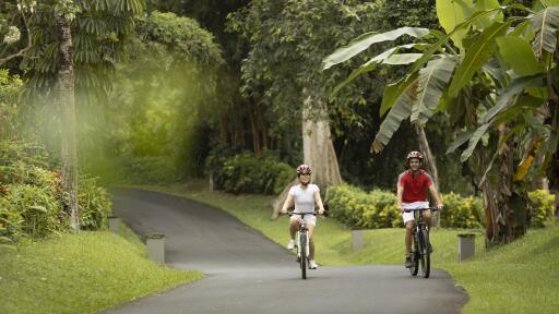 Cycling Tour