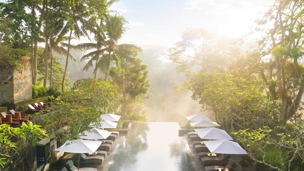 Infinity Forest Pool