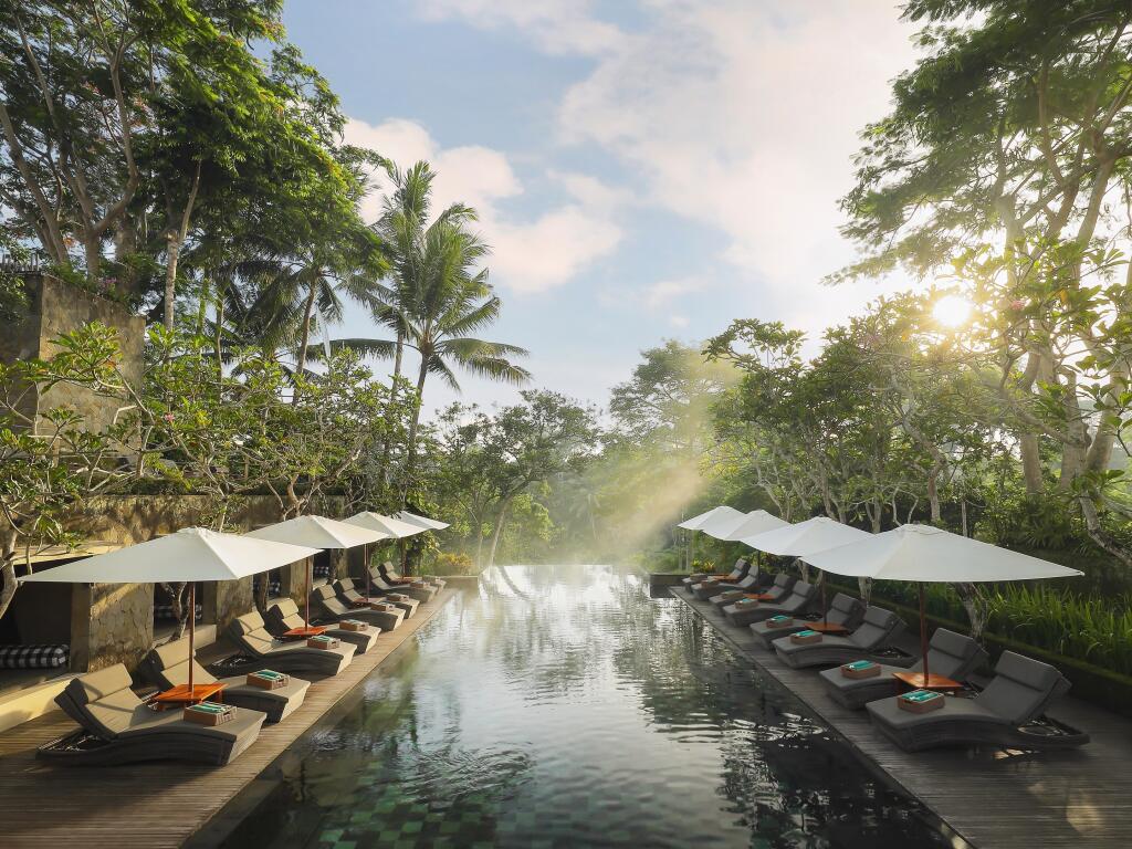 Infinity Forest Pool