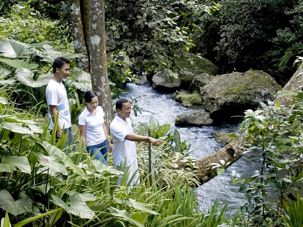 Nature Walk
