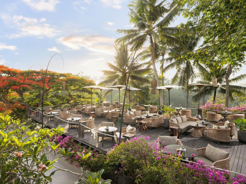 Tree Bar Terrace