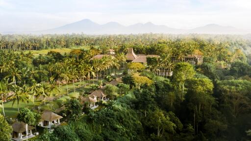 Resort Aerial
