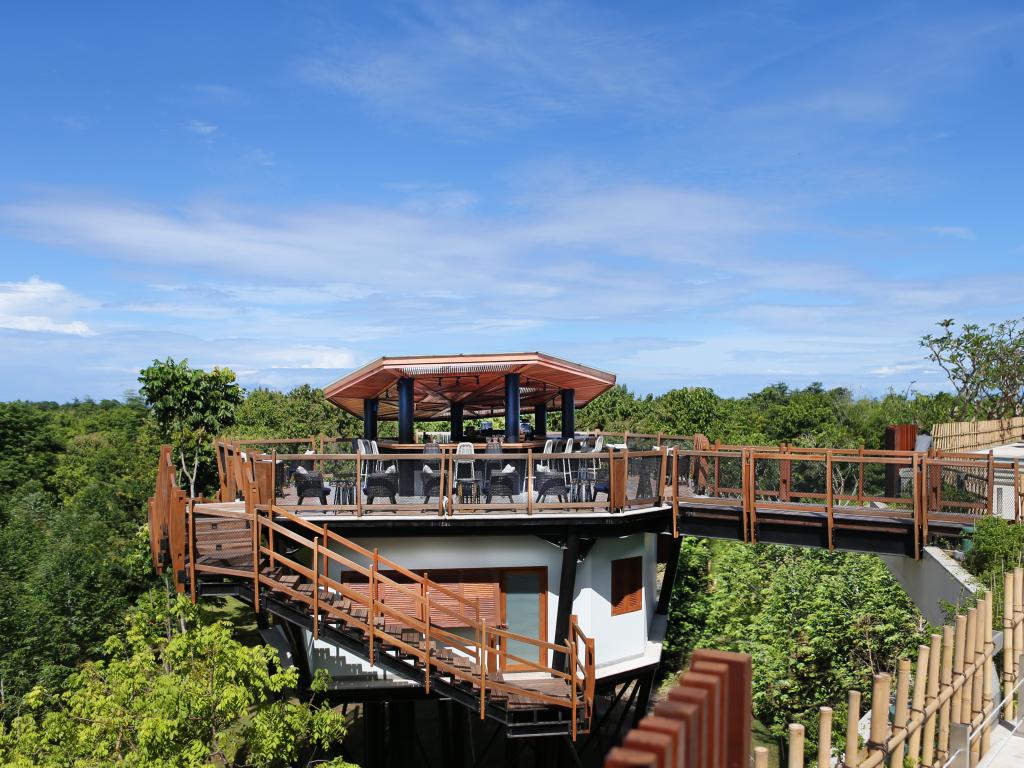 RIMBA Forest Bar
