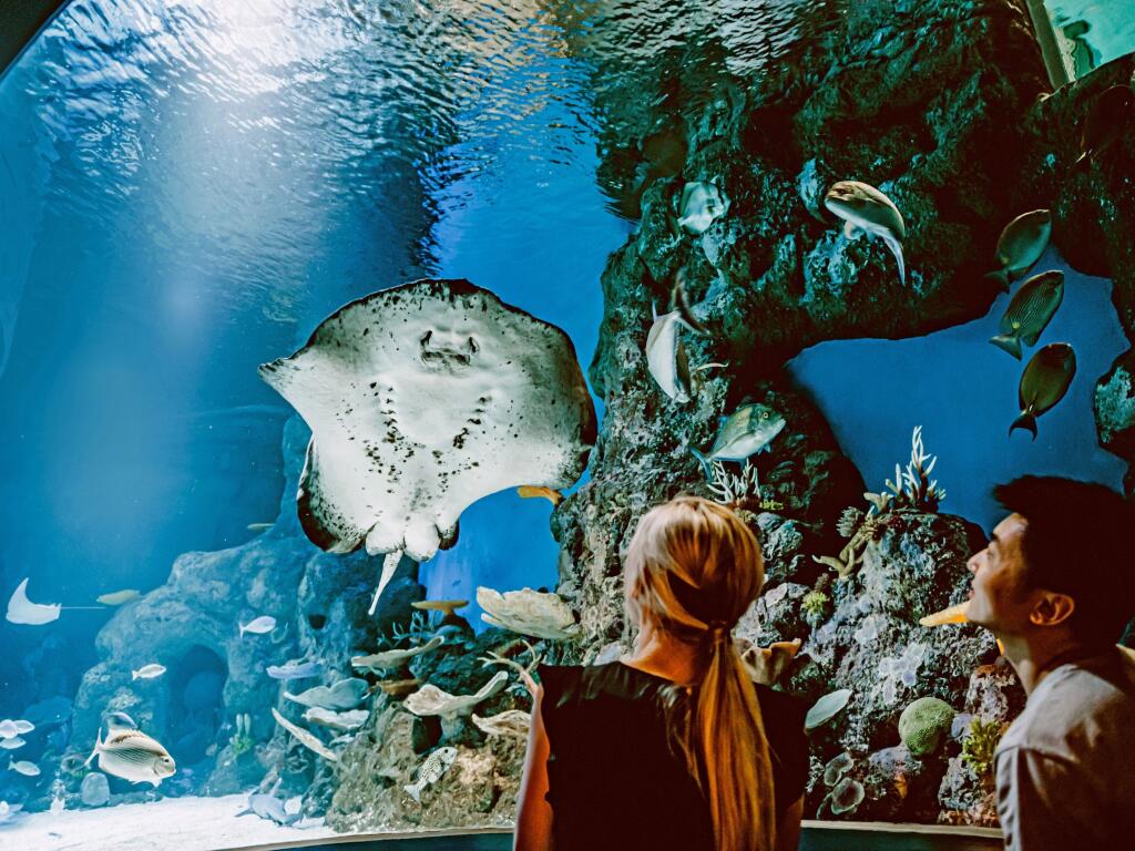 Wonderful Cairns Escape: Save 20%