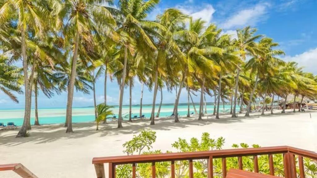 Premium Beachfront Bungalow