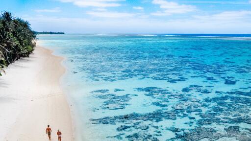 Walks on the beach