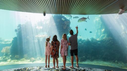 Underwater Observatory