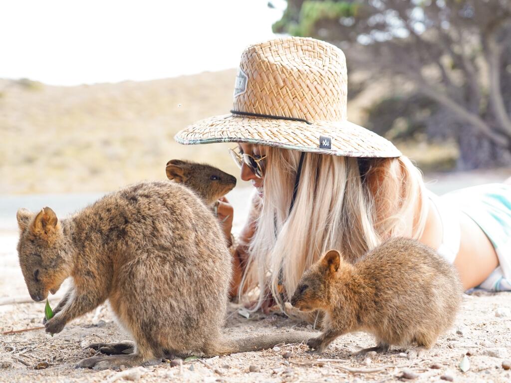 Discovery Rottnest Island