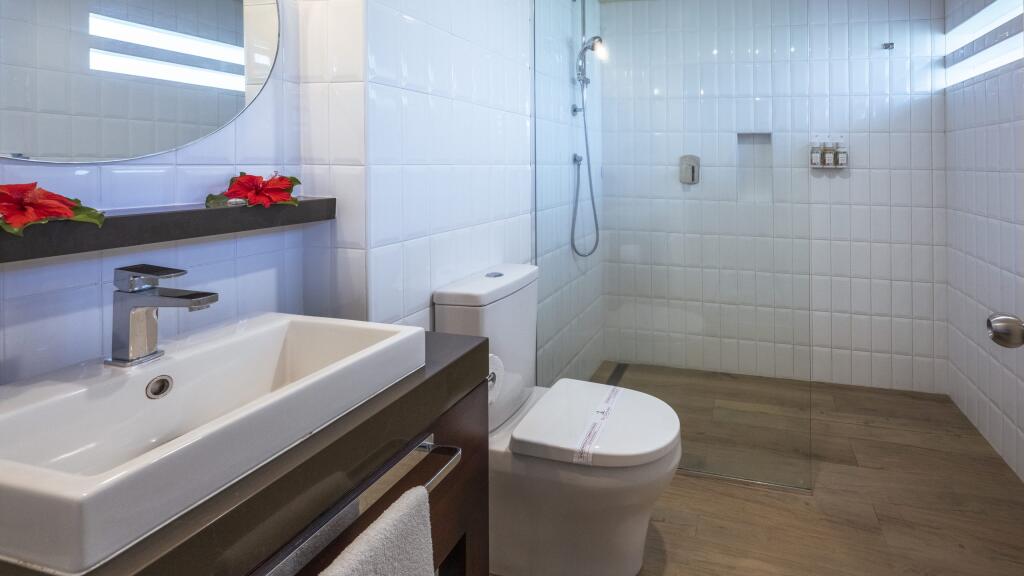Deluxe Pool View Room