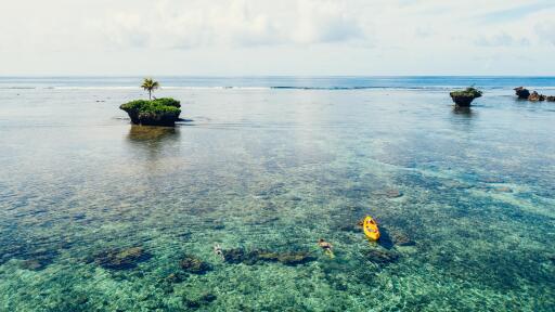 Snorkeling