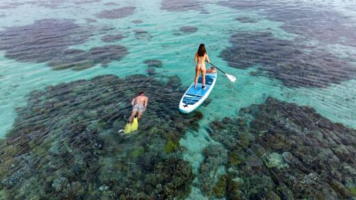Stand Up Paddle Boarding