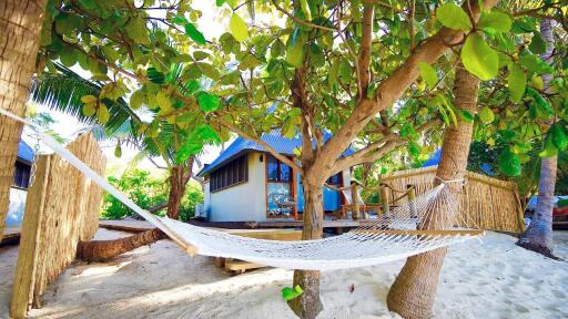 Hammock