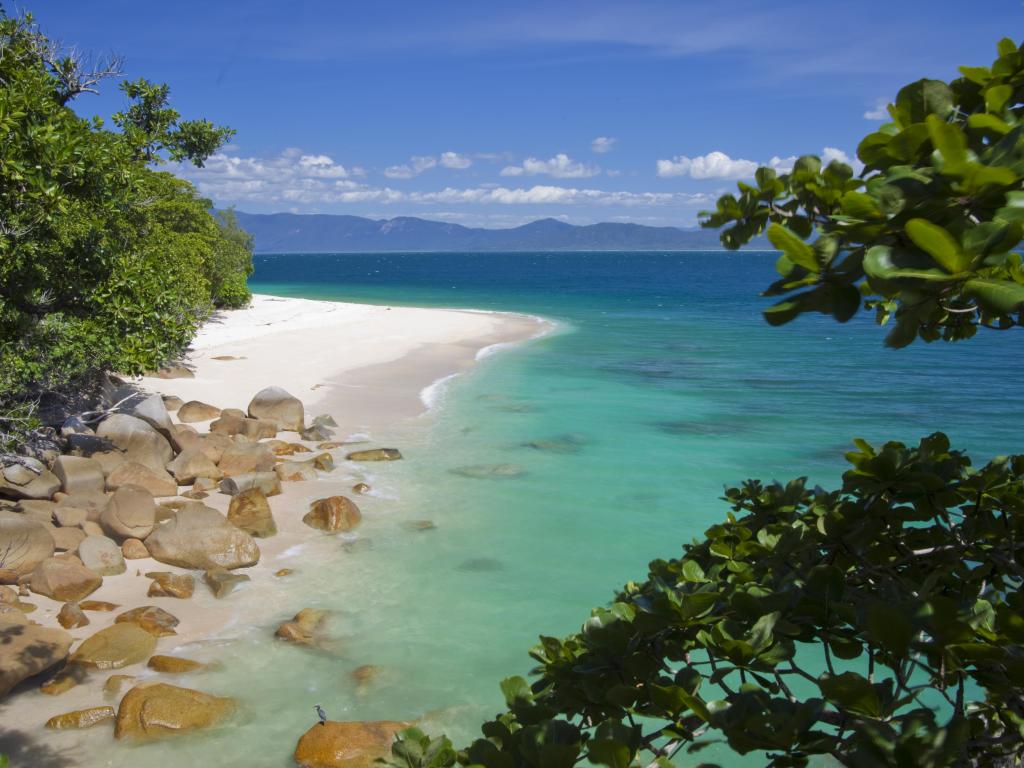 Fitzroy Island Tropical Escape: Save 15%