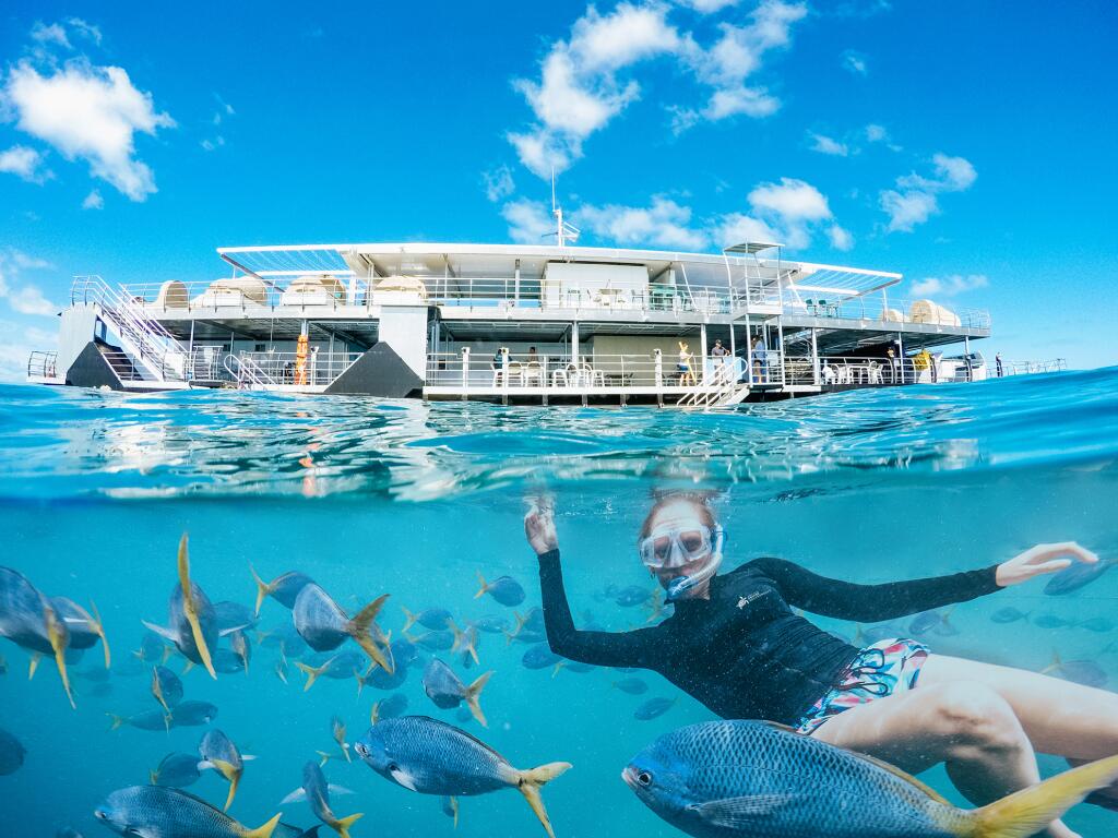Experience The Great Barrier Reef