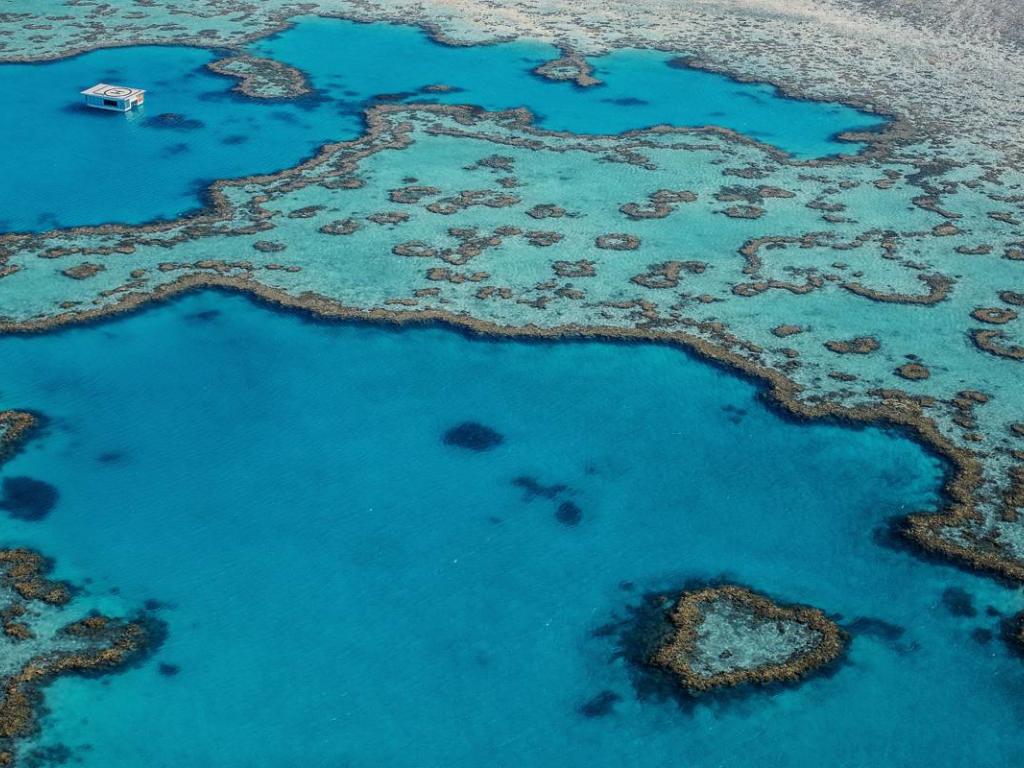 Qld Islands Heart Reef Experience