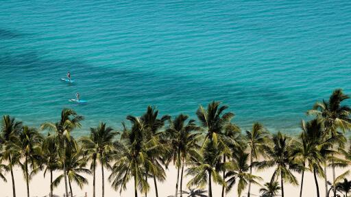 Hamilton Island Reef View Hotel