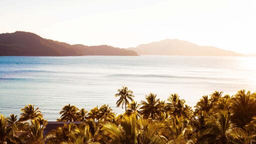 Catseye Beach