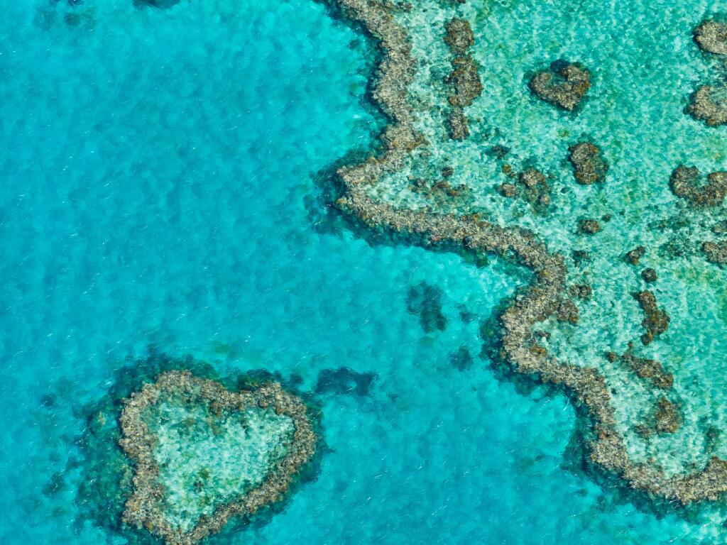 Stunning Whitsundays: Heart Reef by Helicopter
