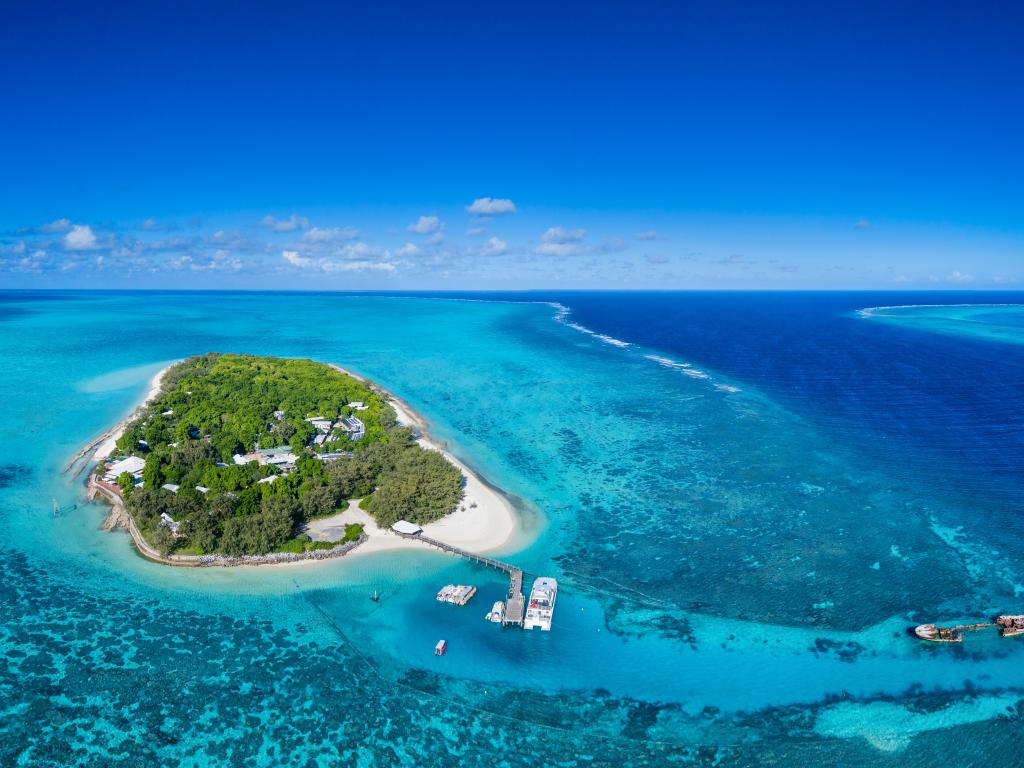 Best Time To Visit Heron Island When To Travel To Heron Island