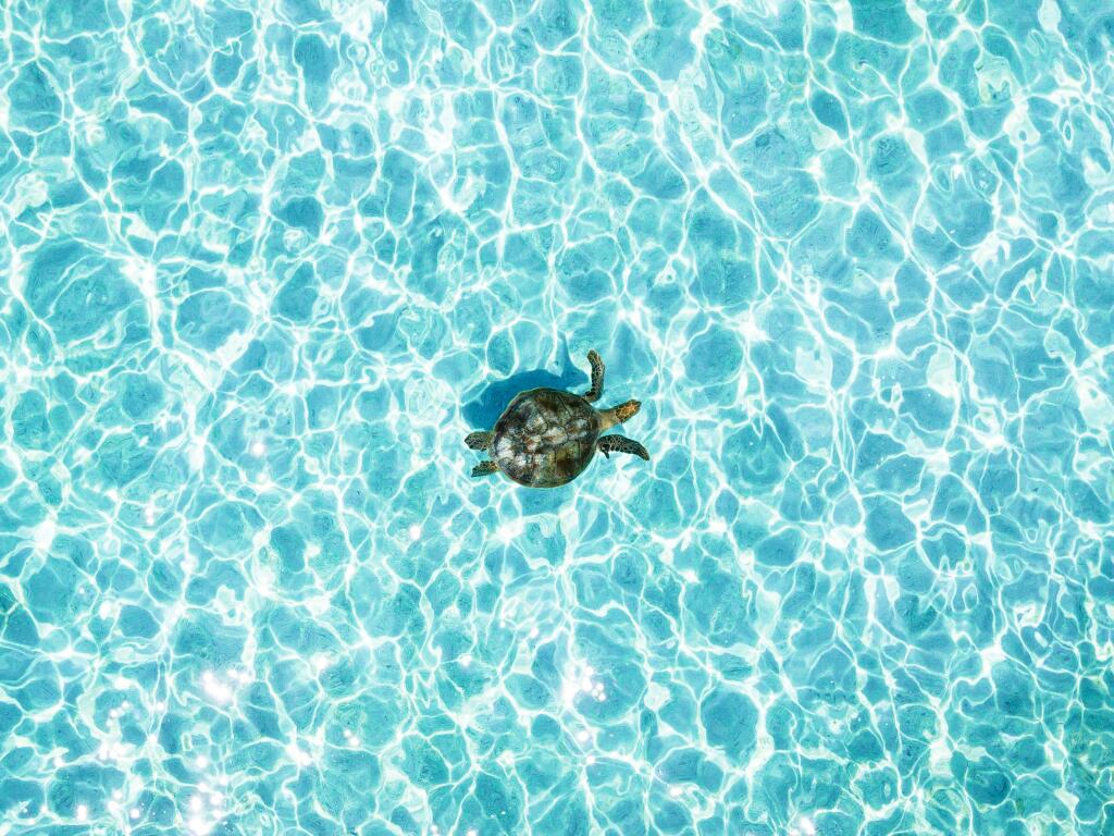 Bucket List Great Barrier Reef Escape