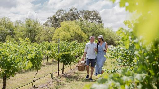 Vineyards