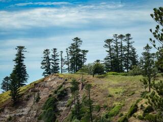 Bird Rock - Norfolk Island