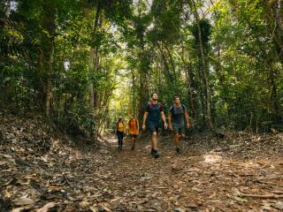 Daintree Hiking
