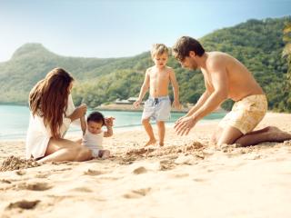 Family Island