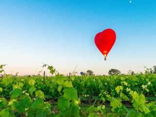 Hunter Valley