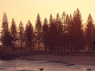 Norfolk Island Sunset