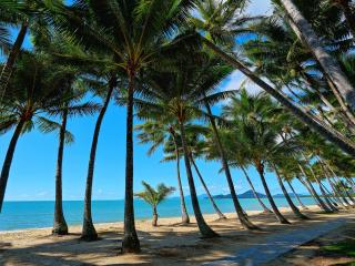 Palm Cove