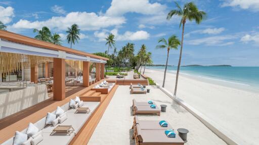 Salt Society Sun Lounges