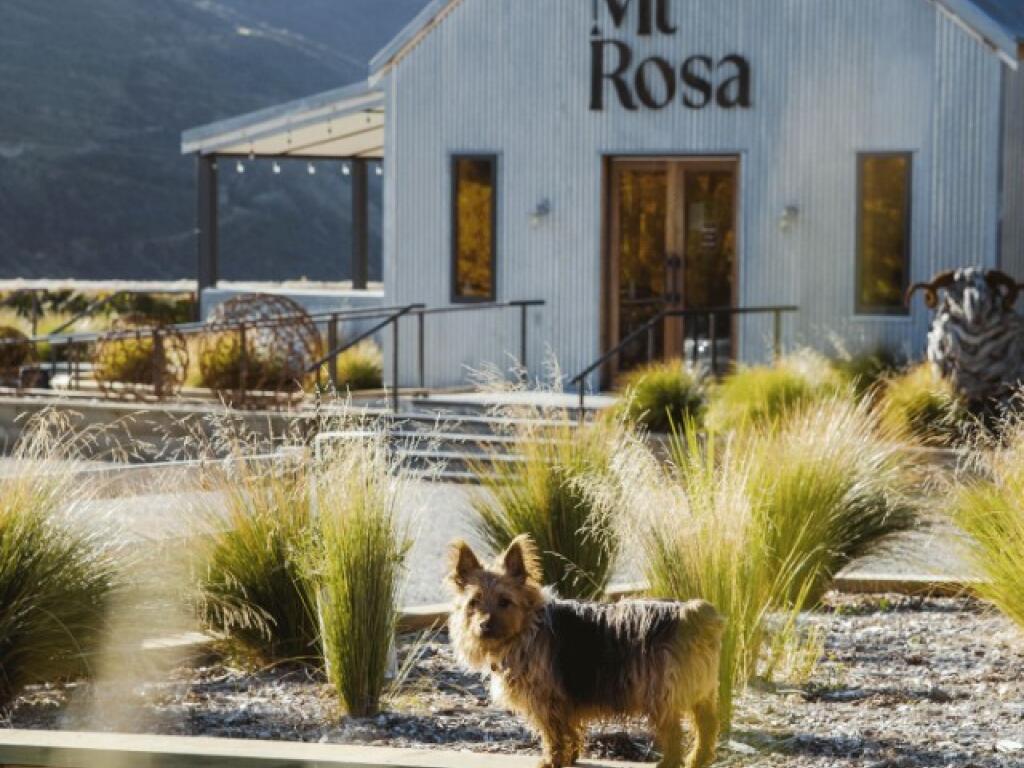 Cardrona Ski, Adventure & Wine Tour