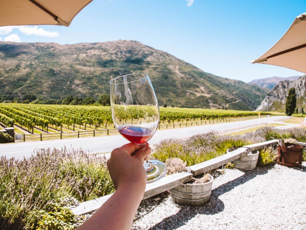 Cardrona Ski, Adventure & Wine Tour