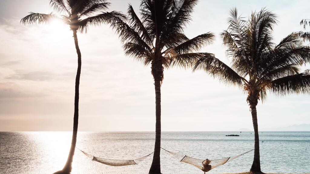 Hammocks