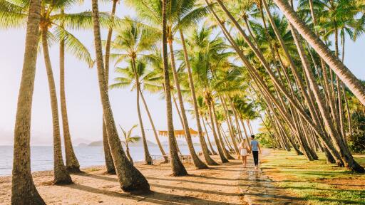 Palm Cove - Tourism and Events Queensland