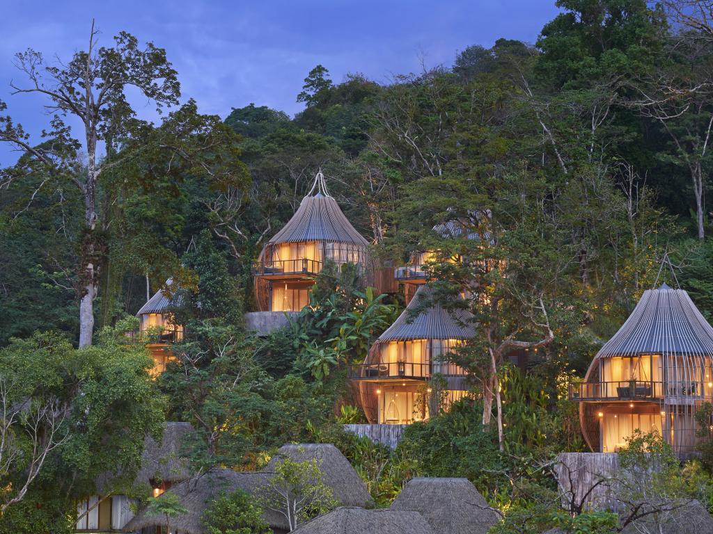 Tree Pool House