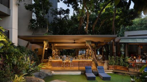 Canopy Tree Bar