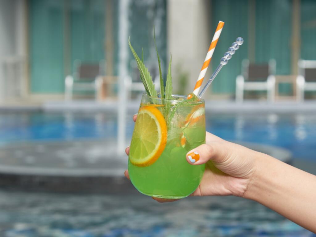 Super Early Bird: 20% Off